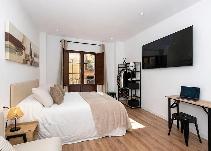 Lujoso Boutique A 100 M Plaza Mayor-resogar Lejlighed Salamanca