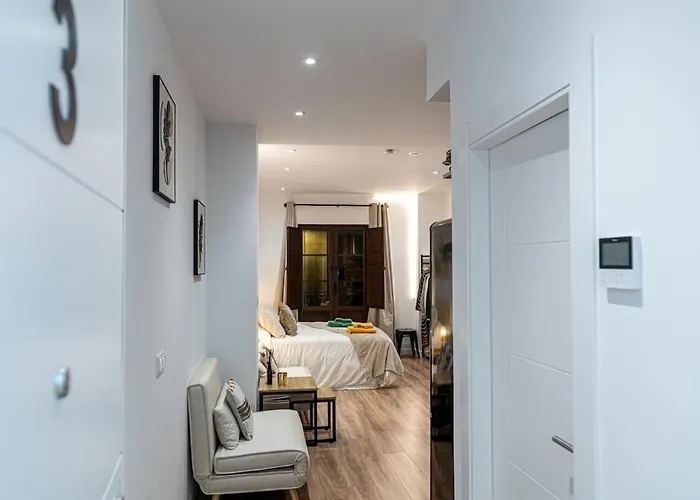 Lujoso Boutique A 100 M Plaza Mayor-resogar Lejlighed