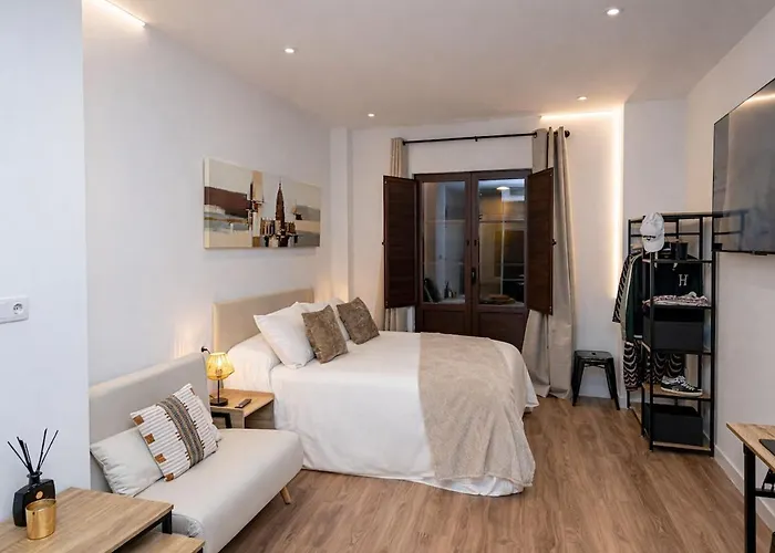 Lujoso Boutique A 100 M Plaza Mayor-resogar Lejlighed